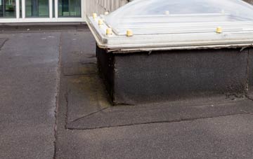 disadvantages of Baddeley Edge flat roofs